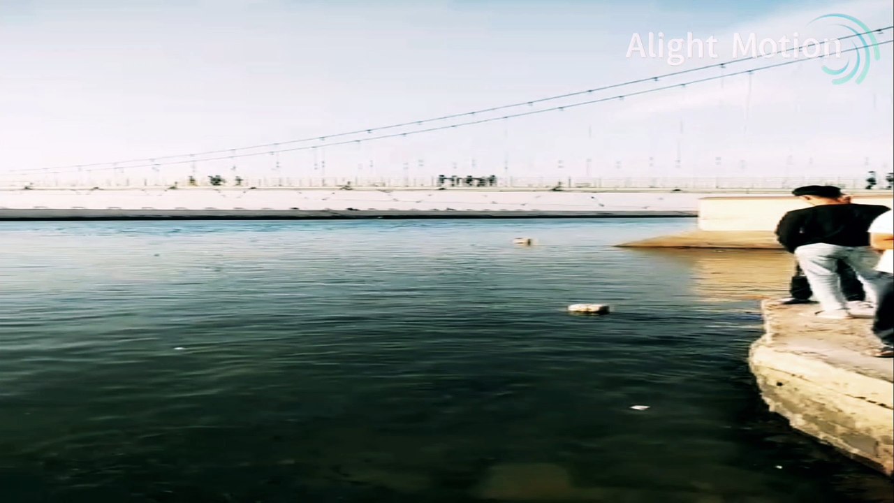 What an amazing group of fish you should watch them