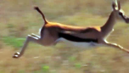 해남추천업소【OI0↔29O8↔68O③】해남추천업소예약♥≺≪