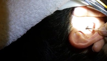 통영출장서비스 통영출장서비스O1OE6579E3382｛카톡COM23｝ 통영출장마사지샵 통영출장안마on통영출장안마cos여3♪⇔∃마사지황형♥∱≪