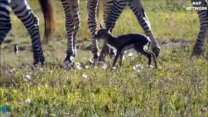 기장출장서비스 기장출장서비스O1OE6683E6402｛카톡GMC3 라인gmc3｝ 기장출장마사지샵 기장출장안마on기장출장안마cos여3♪⇔∃마사지황형♥∌≪