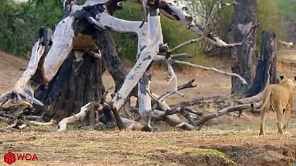 여주출장서비스 여주출장서비스O1Og2118g2518｛카톡TAT22｝ 여주출장마사지샵 여주출장안마on여주출장안마cos여3♪⇔∃마사지황형♥≋≪