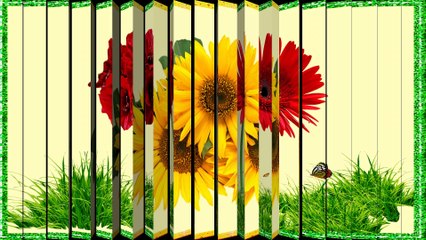 Fête des Grands-Mères