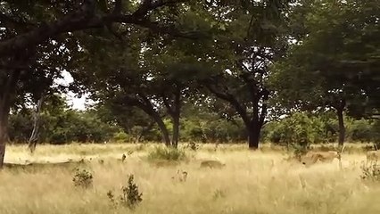 안동출장서비스 안동출장서비스O1OE2104E4640｛카톡GDS25｝ 안동출장마사지샵 안동출장안마on안동출장안마cos여3♪⇔∃마사지황형♥⊇≪