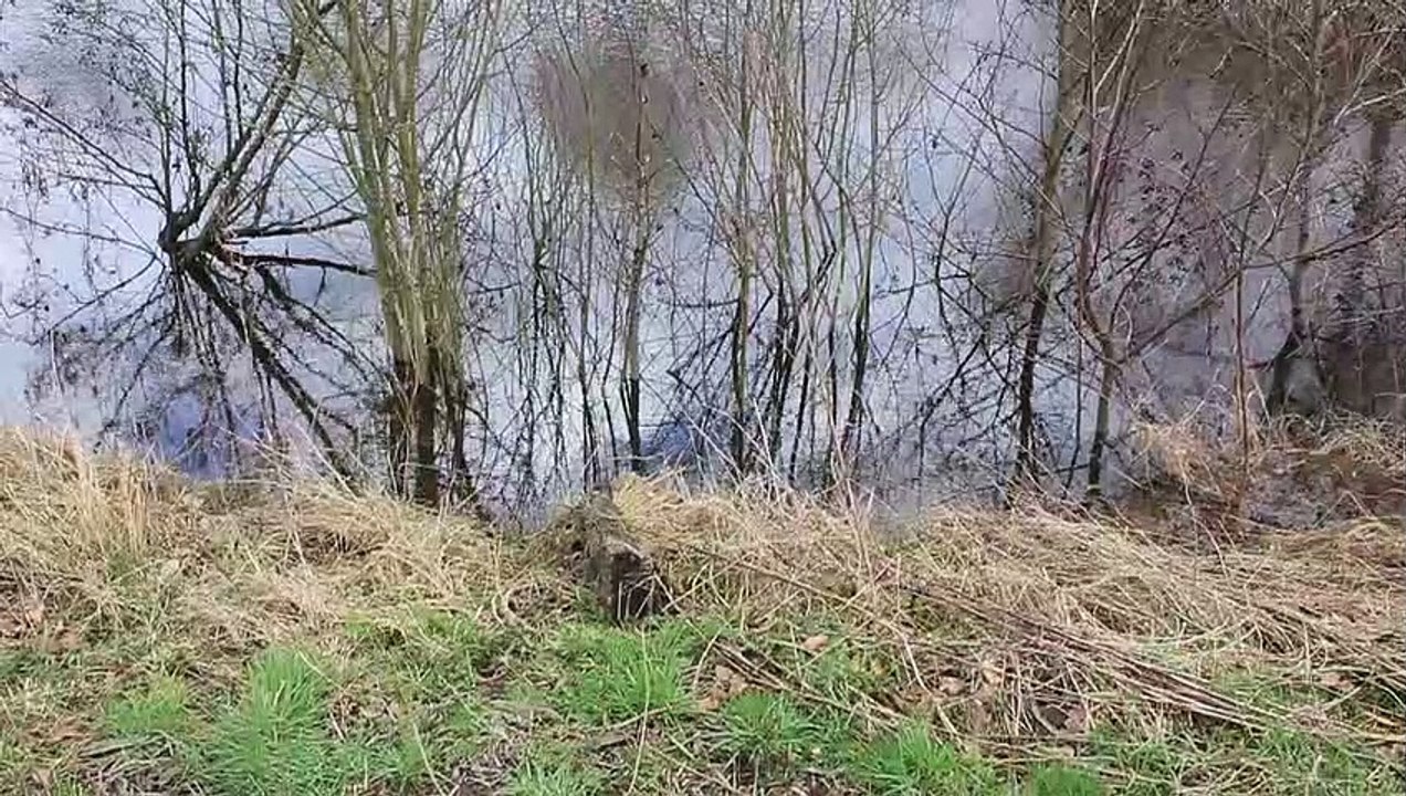 Land unter am Wollnysee in Pinneberg März 2020 /Full Film/Complete Movie/Ganzer Film