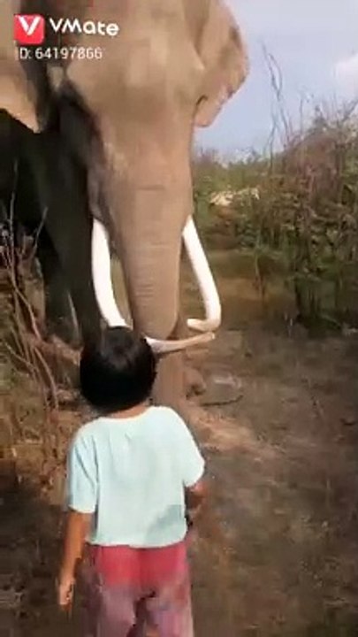 Tamil cute funny videos