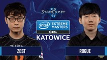 Zest vs. Rogue - IEM Katowice 2020 - Grand Finals