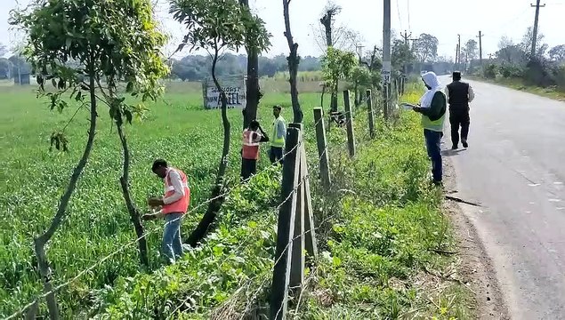 फोरलेन हाइवे के लिए पेड़ों की निशानदेही