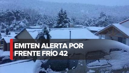 Chihuahua se 'viste de blanco' tras nevada por frente frío