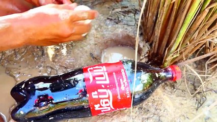 Catch Big Fish Using Coca Cola And Duck Eggs