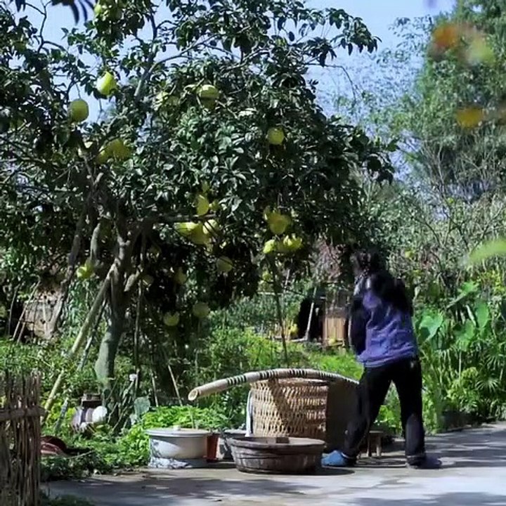 Liziqi TV - Chinese Recipe and Amazing Cooking Liziqi 2020