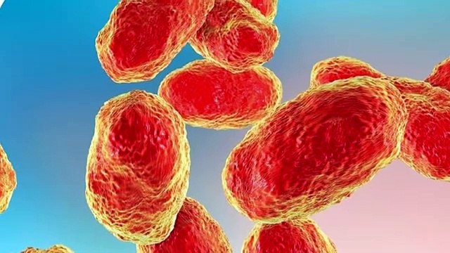 كيف تحمي نفسك من فيروس كورونا في مصر مع الدكتور العبقري