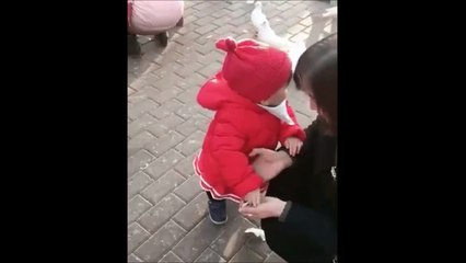Cette petite fille n'a vraiment pas peur des oiseaux