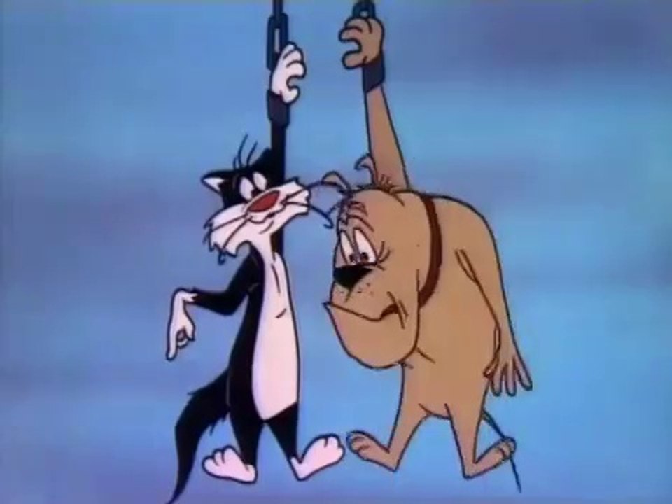 the Looney Tunes Show || Sylvester in Hindi || episode 31