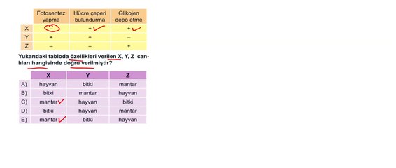 Sıradışı Analiz Yayınları TYT 7. Deneme Sınavı - Fen 20.  Soru