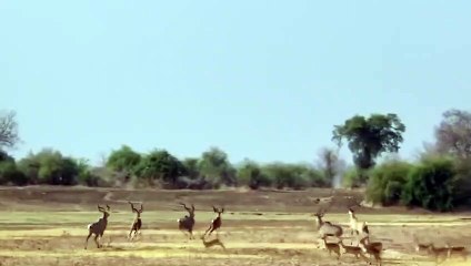 영도출장서비스 영도출장서비스O7Ox5180x1619 {카톡OP41} 영도출장마사지샵 영도출장안마on영도출장안마cos여3♪⇔∃마사지황형♥∼≪