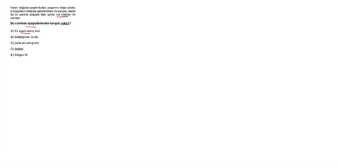 Sıradışı Analiz Yayınları TYT 8. Deneme Sınavı - Türkçe 17.  Soru