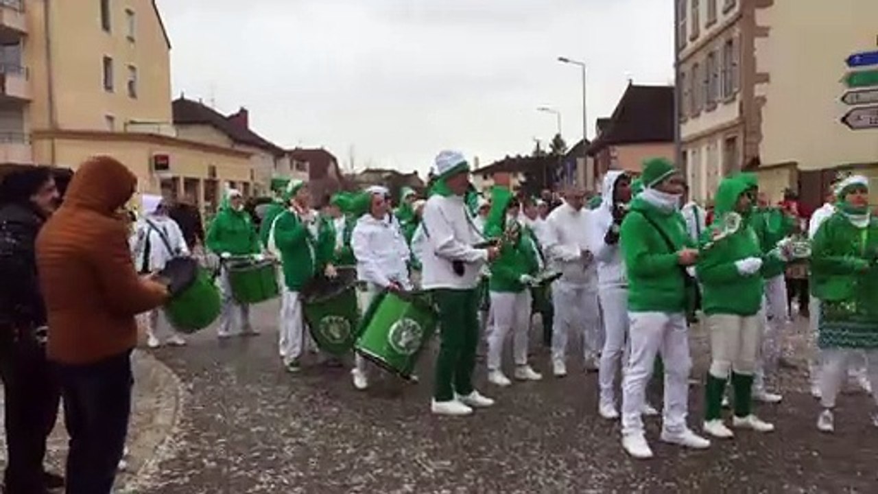 Musique, confettis et déguisements au carnaval d'Auxonne