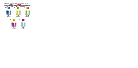 Sıradışı Analiz Yayınları TYT 8. Deneme Sınavı - Fen 13.  Soru