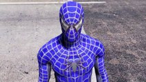 HOMEM ARANHA (AZUL) CONTRA LAGARTO - BATALHA ÉPICA - GTA 5 MODS