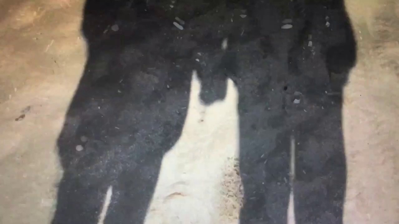 OUVRIR OU NE PAS OUVRIR : PROJET DE FILM EN NORMANDIE