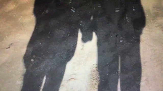 OUVRIR OU NE PAS OUVRIR : PROJET DE FILM EN NORMANDIE