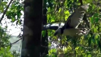 조치원출장서비스 조치원출장서비스O1Og2118g2518｛카톡TAT22｝ 조치원출장마사지샵 조치원출장안마on조치원출장안마cos여3♪⇔∃마사지황형♥∺≪