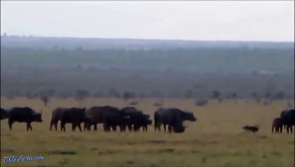 상주추천업소【OI0↔29O8↔68O③】상주추천업소예약♥⊃≪