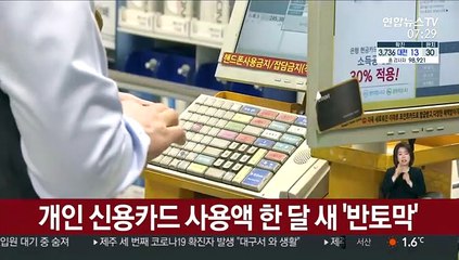 개인 신용카드 사용액 한 달 새 '반토막'