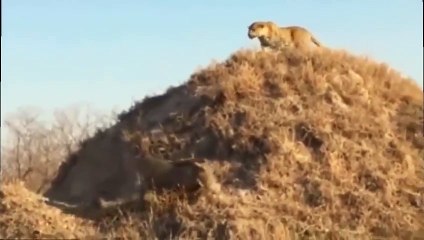 부천출장서비스 부천출장서비스O1OE2541E2560｛카톡KGB8｝ 부천출장마사지샵 부천출장안마on부천출장안마cos여3♪⇔∃마사지황형♥≁≪