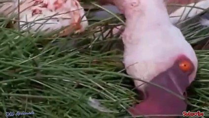 경주출장서비스 경주출장서비스O7Ox8716x1164 {카톡AO82} 경주출장마사지샵 경주출장안마on경주출장안마cos여3♪⇔∃마사지황형♥∦≪