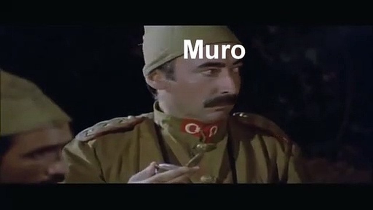 Wtf