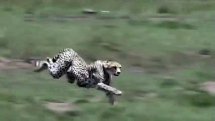 충주출장서비스 충주출장서비스O1Og2118g2518｛카톡TAT22｝ 충주출장마사지샵 충주출장안마on충주출장안마cos여3♪⇔∃마사지황형♥∨≪