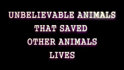 의왕출장서비스 의왕출장서비스O1Og4832g2166｛카톡QQ565｝ 의왕출장마사지샵 의왕출장안마on의왕출장안마cos여3♪⇔∃마사지황형♥◚≪