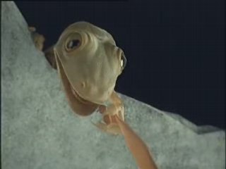 PUB DELIRE "Shera ad"