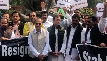 Oppositions protest over Delhi riots outside Parliament