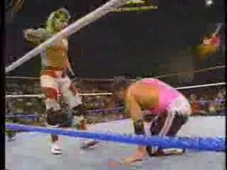 Bret "Hitman" Hart vs. Shawn Michaels - Ladder Match