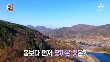 [예고] 연 매출 12억! 깊은 산골에 봄보다 먼저 찾아 온 청개구리!?