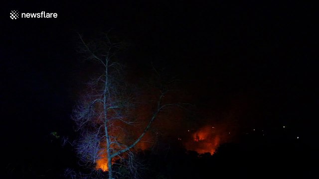 Forest fires seen burning in Riau province as dry season begins in Indonesia