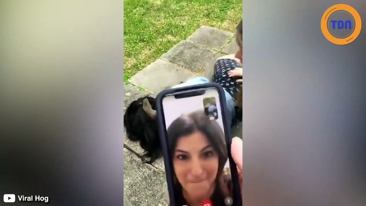 Elle sent quelque chose bouger sur sa tête, un écureuil se balade dans sa chevelure !