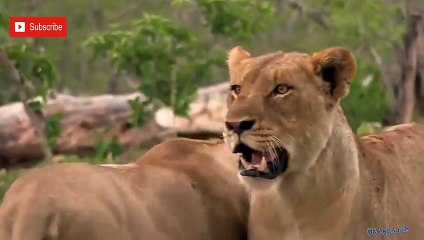 봉화출장서비스 봉화출장서비스O1OE6579E3382｛카톡COM23｝ 봉화출장마사지샵 봉화출장안마on봉화출장안마cos여3♪⇔∃마사지황형♥∴≪