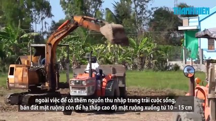 Hậu quả của việc nông dân ào ạt “cạo trọc” đất mặt ruộng đi bán