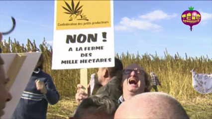 La ferme aux mille hectares