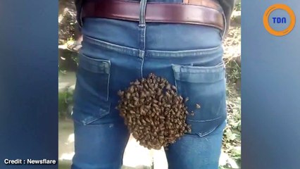 Cet homme se réveille avec un essaim d'abeilles accroché au "derrière"