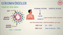 Sağlık Bakanlığı corona virüsü hakkında önemli videolar paylaştı