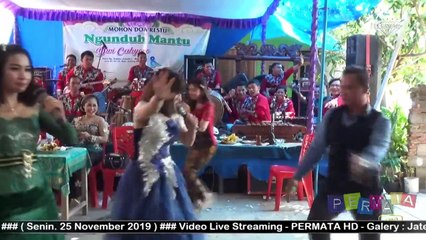 CIDRO_-_Voc._VIVI_-_LEVI_-_TATA_