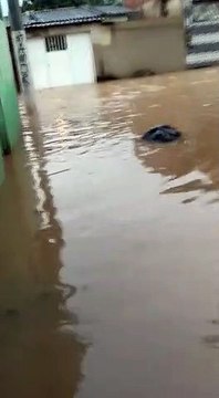 Ruas amanhecem completamente alagadas em Terra Vermelha