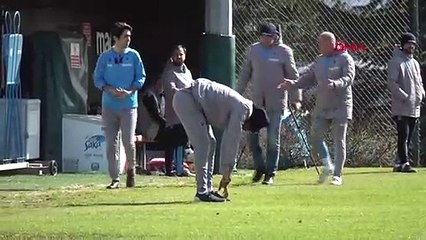 Trabzonspor'dan ayrılan Daniel Sturridge'in yeni takımı belli oldu