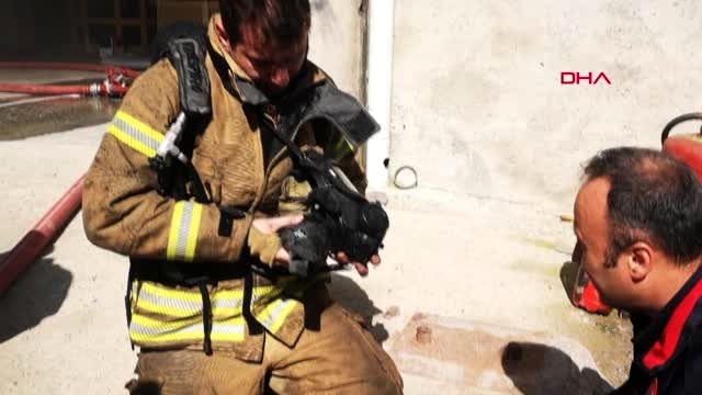 İtfaiyecilerden dumandan etkilenen kuşa şefkat eli