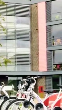 भारतीय छात्रों को पसंद आ रहा ब्रिटेन, एक साल में 93 % अधिक छात्रों को मिला एजुकेशन वीजा, वजह; कम फीस और बेहतर शिक्षा