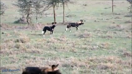 동래출장서비스 동래출장서비스O1OE2908E6803｛카톡ABC23｝ 동래출장마사지샵 동래출장안마on동래출장안마cos여3♪⇔∃마사지황형♥∭≪